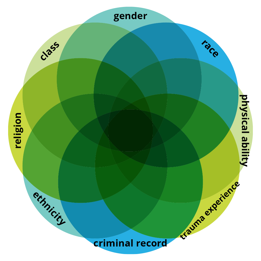 Venn diagram icon from CSAJ logo with intersecting different identities in each circle, including class, gender, race, physical ability, trauma experience, criminal record, ethnicity, and religion